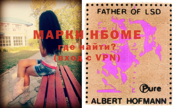 прущие грибы Нея